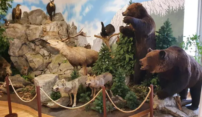 Expoziția Cinegetică